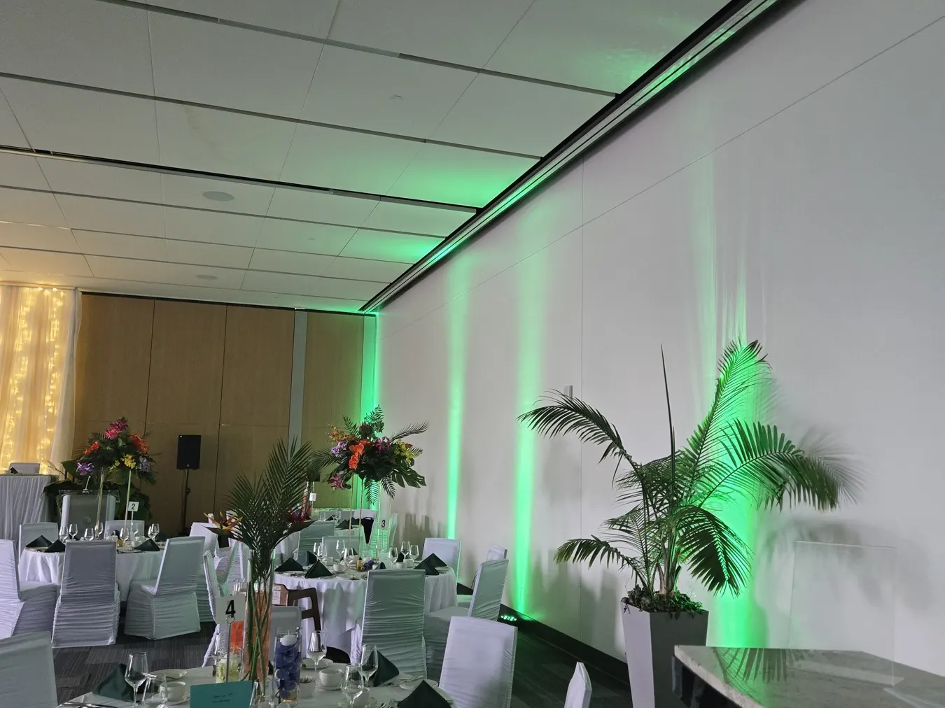 Reception hall lit green by WAVE up-lighting